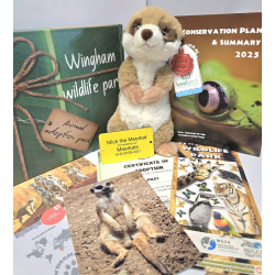 Meerkat Adoption Gift Box (inc. delivery)