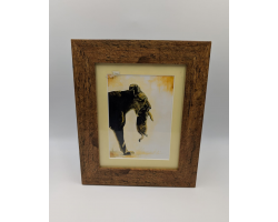 A brush with Africa Lioness Carrying Cub Framed