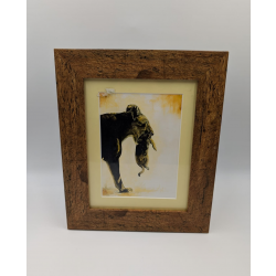 A brush with Africa Lioness Carrying Cub Framed