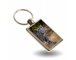 Key Ring- Django