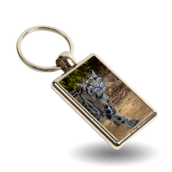 Key Ring- Django