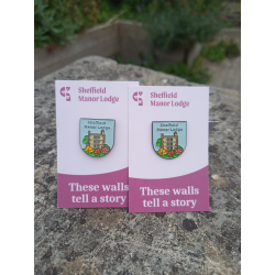 Save the ruins pin badge