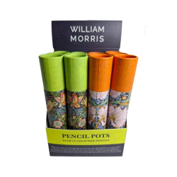 Pencil Pots with 12 Coloured Pencils
