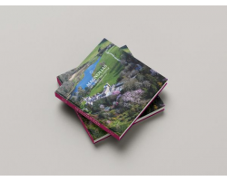 *Coming Soon* Magnolias at Caerhays Castle