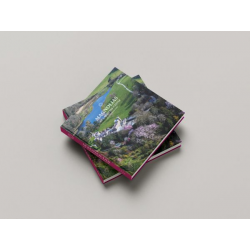 *Coming Soon* Magnolias at Caerhays Castle