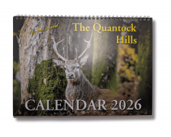 Quantock 2026 Landscape Calendar