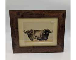 A brush with Africa Buffalo E Framed