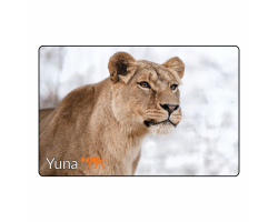 Magnet- Yuna