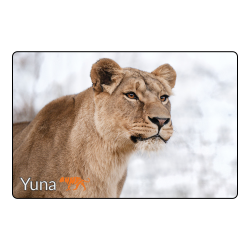 Magnet- Yuna