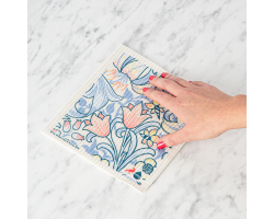 Seep Eco Cloths - Pack of 4