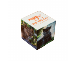 BCS Puzzle Cube