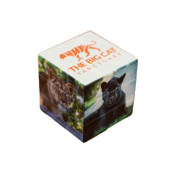 BCS Puzzle Cube