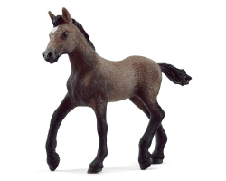 Paso Peruano Foal