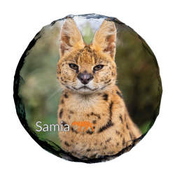 Slate Coaster- Samia