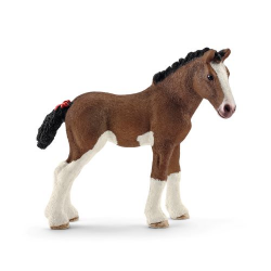 Clydesdale Foal NEW