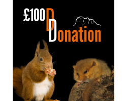 Donation £100