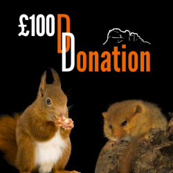 Donation £100