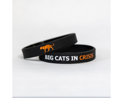 BCIC Black silicone wristband 202mm