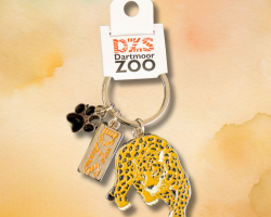 DZS Leopard Metal Keyring