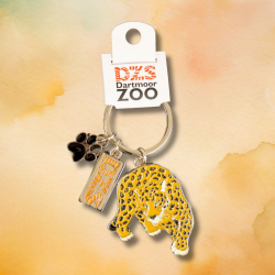 DZS Leopard Metal Keyring