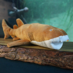 Medium sized brown nurse shark softy toy pl