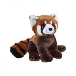 Plan Red Panda Large