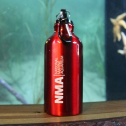 NMA Aluminium Bottle - Red