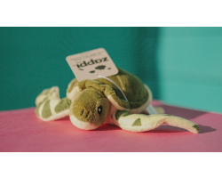 Zappi Turtle - Mini Soft Toy