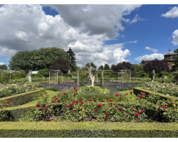 When you make your purchase, you will be emailed the viewing link and password within an hour.