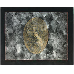 Cosmogenesis 1 by Sandra Hill