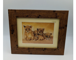 A brush with Africa Lion Cub Pack Framed