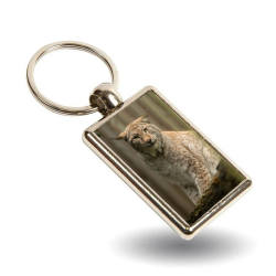 Key Ring - Rhys
