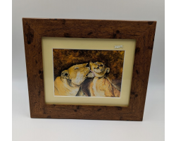 A brush with Africa Lioness Licking Cub Framed