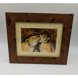 A brush with Africa Lioness Licking Cub Framed