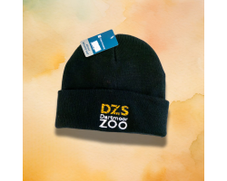 DZS Beanie