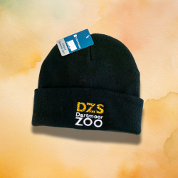 DZS Beanie