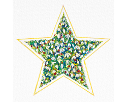 Snowdrop Star