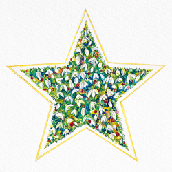 Snowdrop Star