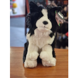 Sitting Border Collie Medium