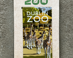 African Savannah Magnetic Bookmark