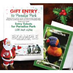 SAVER Ticket 2 Adults + 2 Children - Gift Day Entry