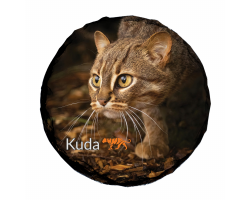 Slate Coaster- Kuda