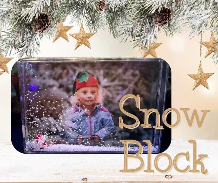 1 Snow Block