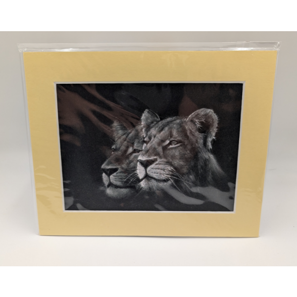 A brush with Africa Lioness Pair Black & White
