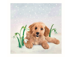 'Puppy' Christmas Cards