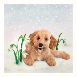 'Puppy' Christmas Cards