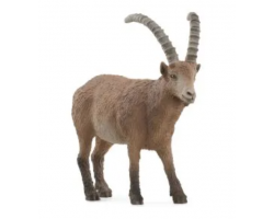 Ibex