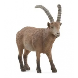 Ibex