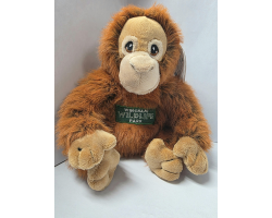 Wingham Wildlife Park Orangutan