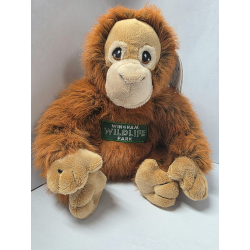 Wingham Wildlife Park Orangutan